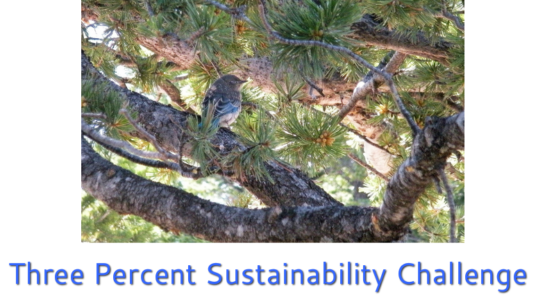 Three Percent Sustainability Challenge